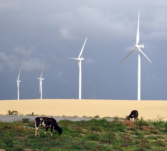São Bento do Norte Wind Farm Brazil